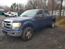 2013 Ford F150 Supercrew en venta en Baltimore, MD