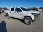 2023 Chev Colorado