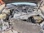 2004 Lexus Es 330 Base