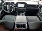 2024 Ford F150 STX