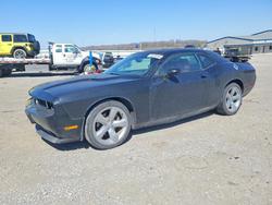 Dodge Challenger salvage cars for sale: 2013 Dodge Challenger sxt