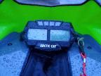 2021 Arctic Cat Cat