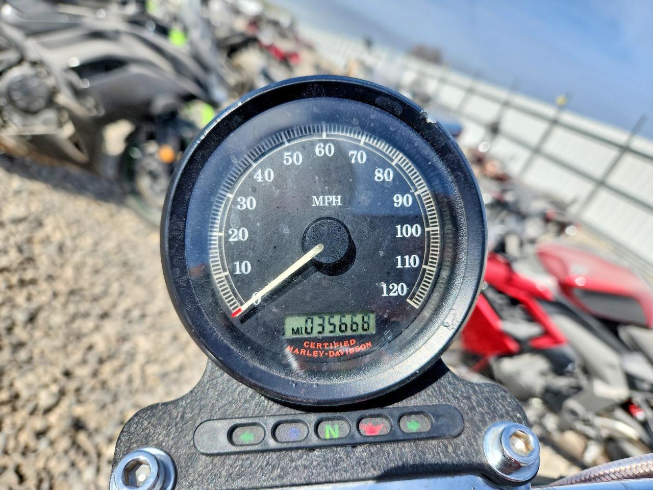 2004 Harley-Davidson XL 883 / Sportster 883