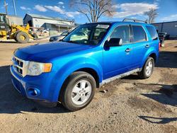 2012 Ford Escape xlt for sale in Albuquerque, NM