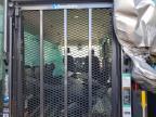 2023 Ford Transit Delivery Van