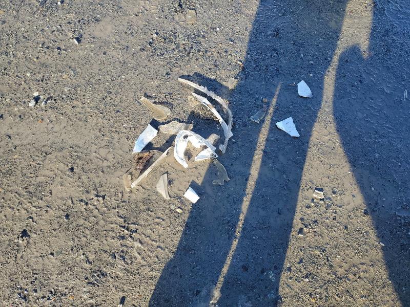 2004 Toyota Tacoma Base