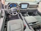 2025 Ford F150 XLT