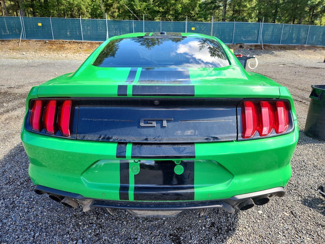 2019 Ford Mustang gt