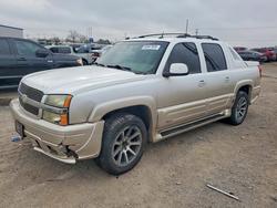 Chevrolet Avalanche Vehiculos salvage en venta: 2005 Chevrolet Avalanche C1500