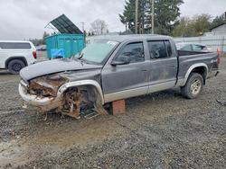 Salvage trucks for sale at Spanaway, WA auction: 2004 Dodge Dakota Quad SLT