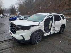 2025 Honda Pilot Sport for sale in Marlboro, NY
