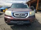 2011 Honda Pilot