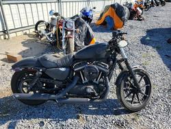 Harley-Davidson XL883 N salvage cars for sale: 2019 Harley-Davidson XL883 N