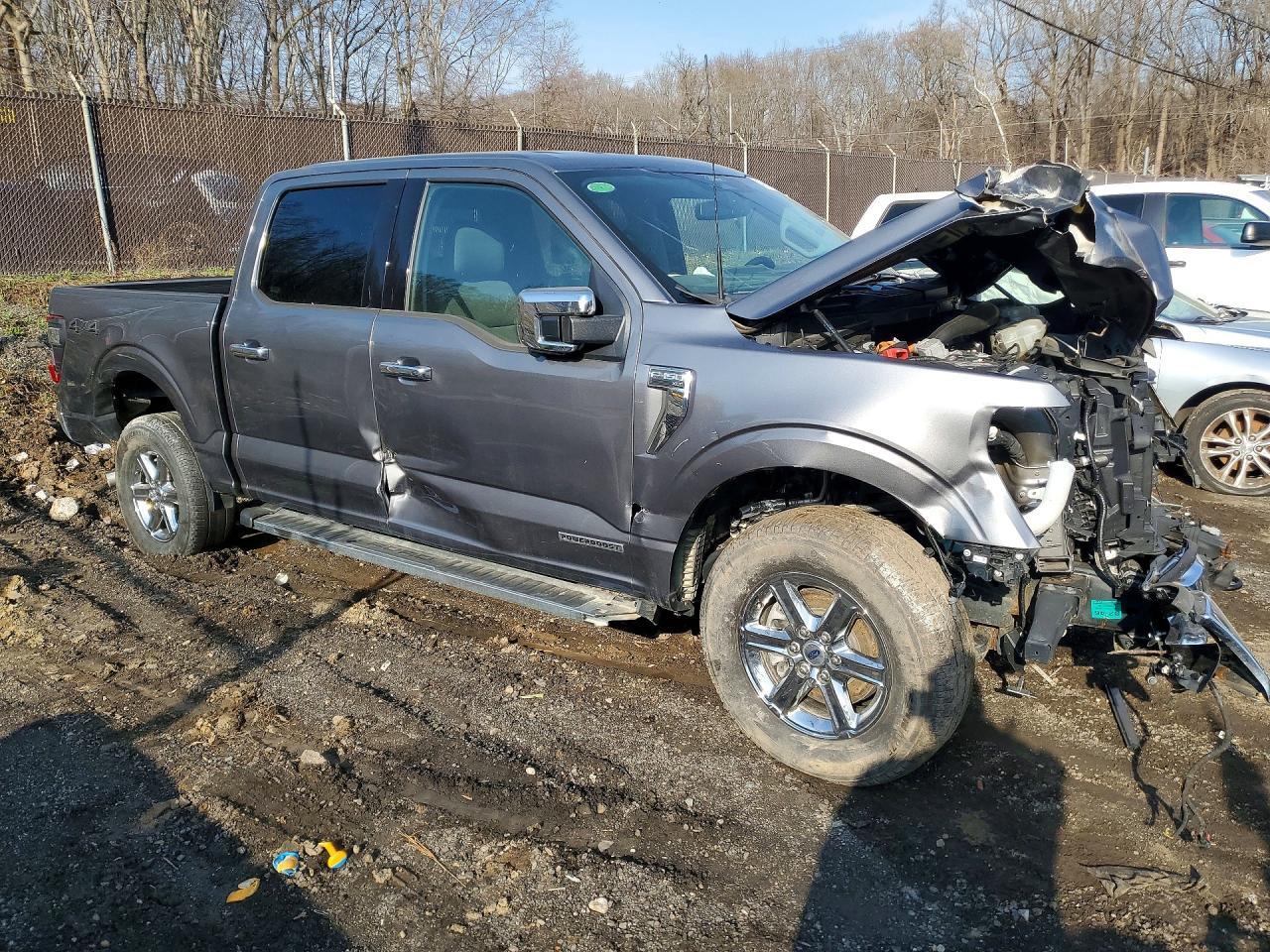 2024 Ford F150 XLT