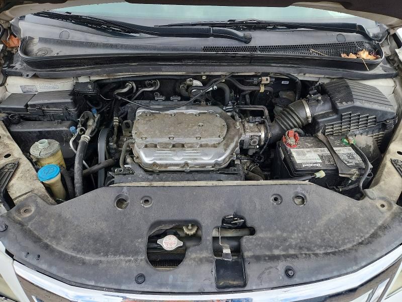 2009 Honda Odyssey exl