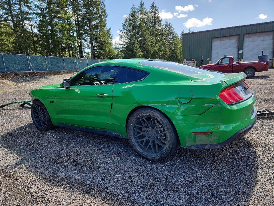 2019 Ford Mustang gt