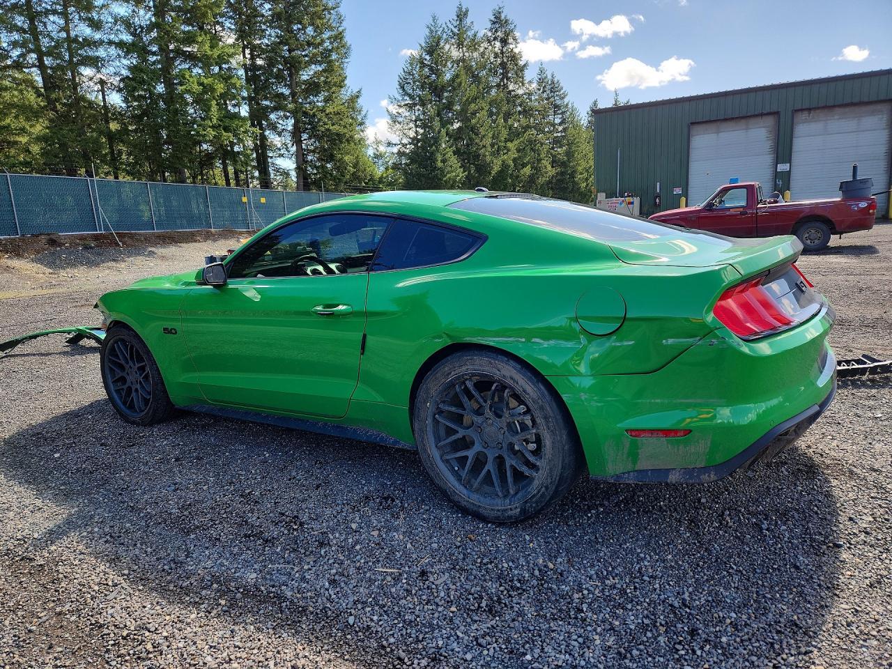 2019 Ford Mustang gt