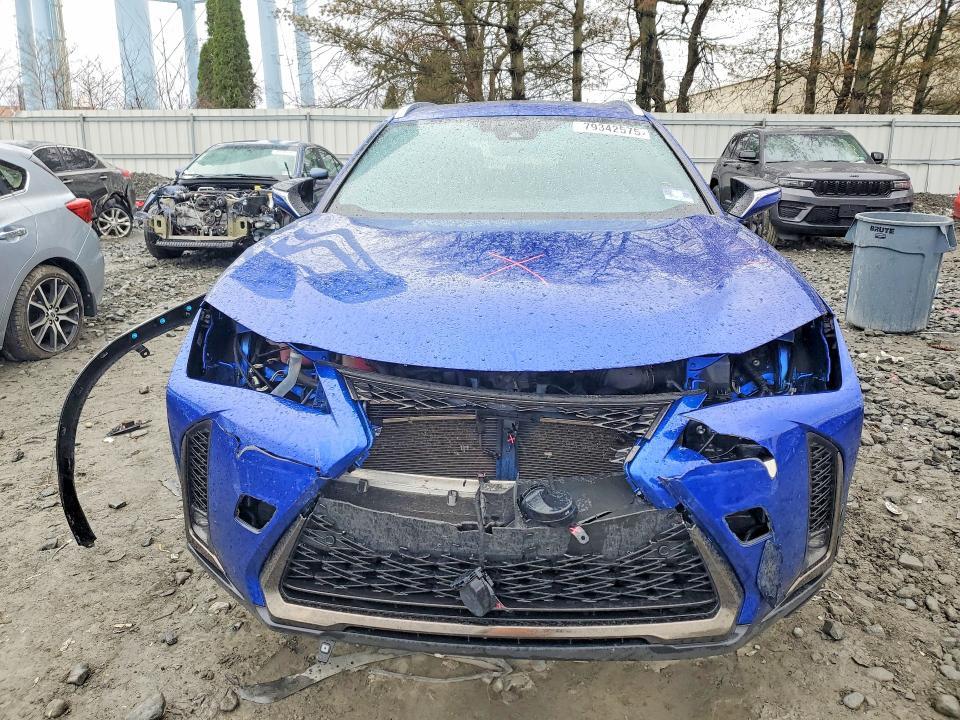 2019 Lexus Ux 250h f Sport