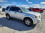 2009 Ford Escape Hybrid