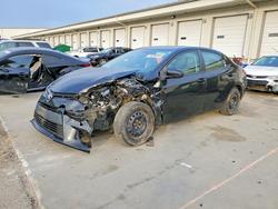 2014 Toyota Corolla for sale in Louisville, KY