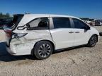 2024 Honda Odyssey exl