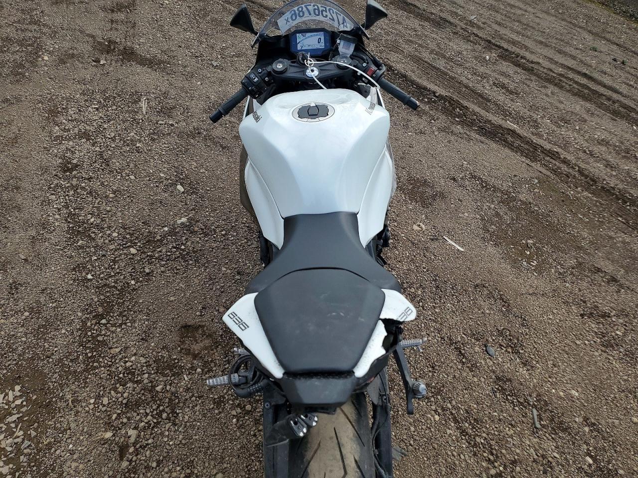 2025 Kawasaki ZX636 K