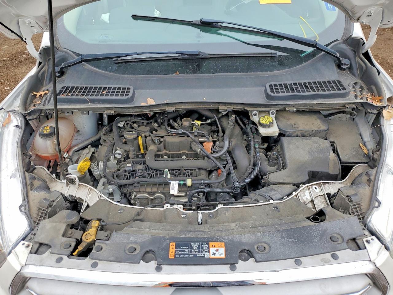 2019 Ford Escape sel