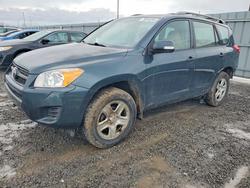 Toyota Rav4 salvage cars for sale: 2011 Toyota Rav4 Base