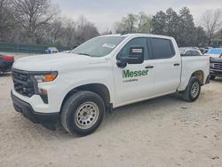Salvage trucks for sale at Madisonville, TN auction: 2024 Chevrolet Silverado C1500