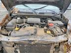 2004 Dodge Dakota Quad SLT