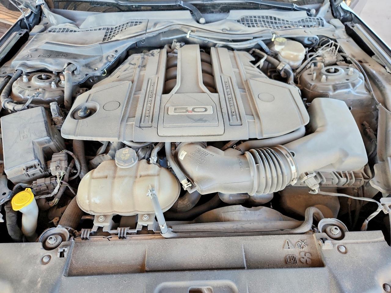 2019 Ford Mustang gt