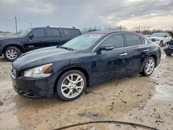 Nissan salvage cars for sale: 2014 Nissan Maxima 3.5 sv