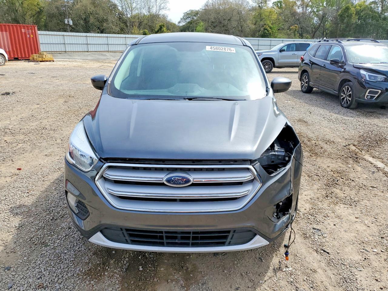 2019 Ford Escape se
