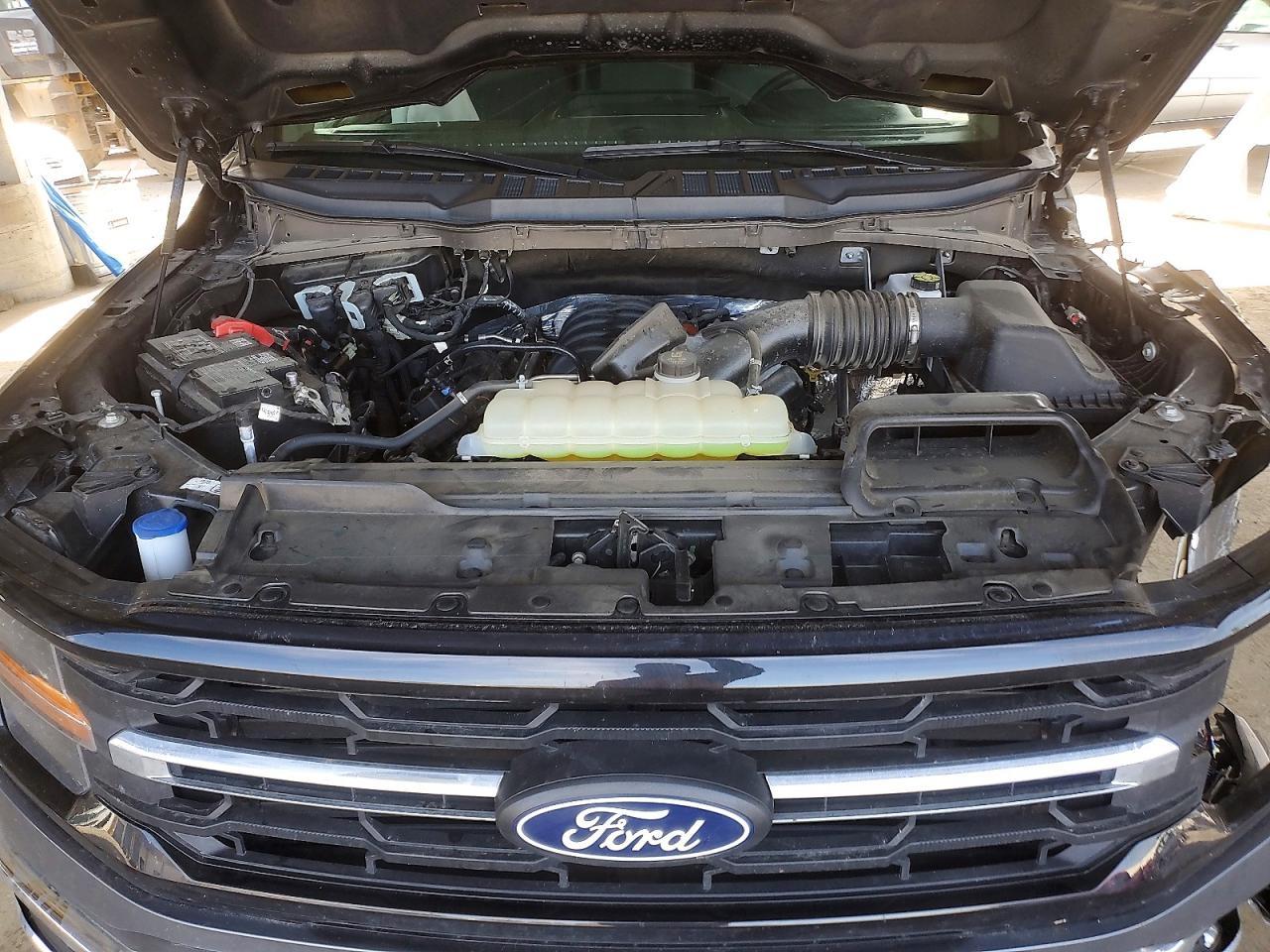 2025 Ford F150 XLT