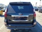 2020 Lexus Gx 460 Base