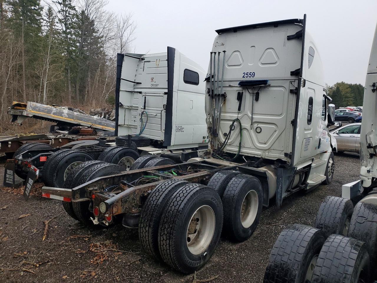 2019 Freigliner 2019 Freightliner ALL Models-Semi Truck