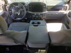 2025 Ford F150 XLT
