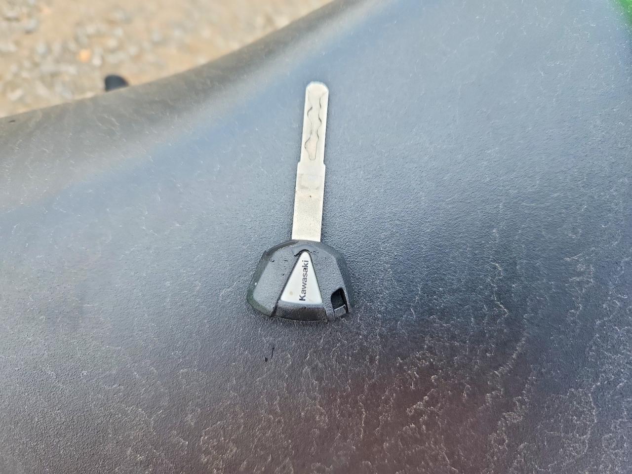 2026 Kawasaki EX650 P