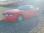 2004 Ford Mustang