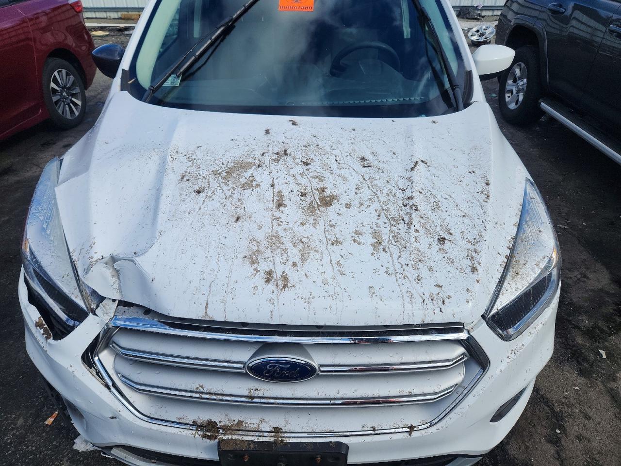 2019 Ford Escape se
