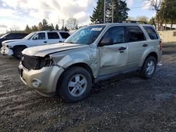 2010 Ford Escape xlt en venta en Spanaway, WA