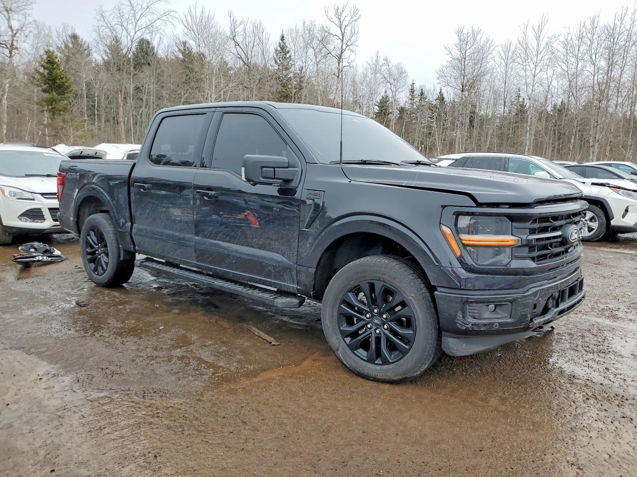 2024 Ford F150 XLT