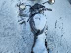 2024 BMW S 1000 RR