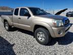 2006 Toyota Tacoma V6