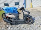 2024 Yamaha YW125