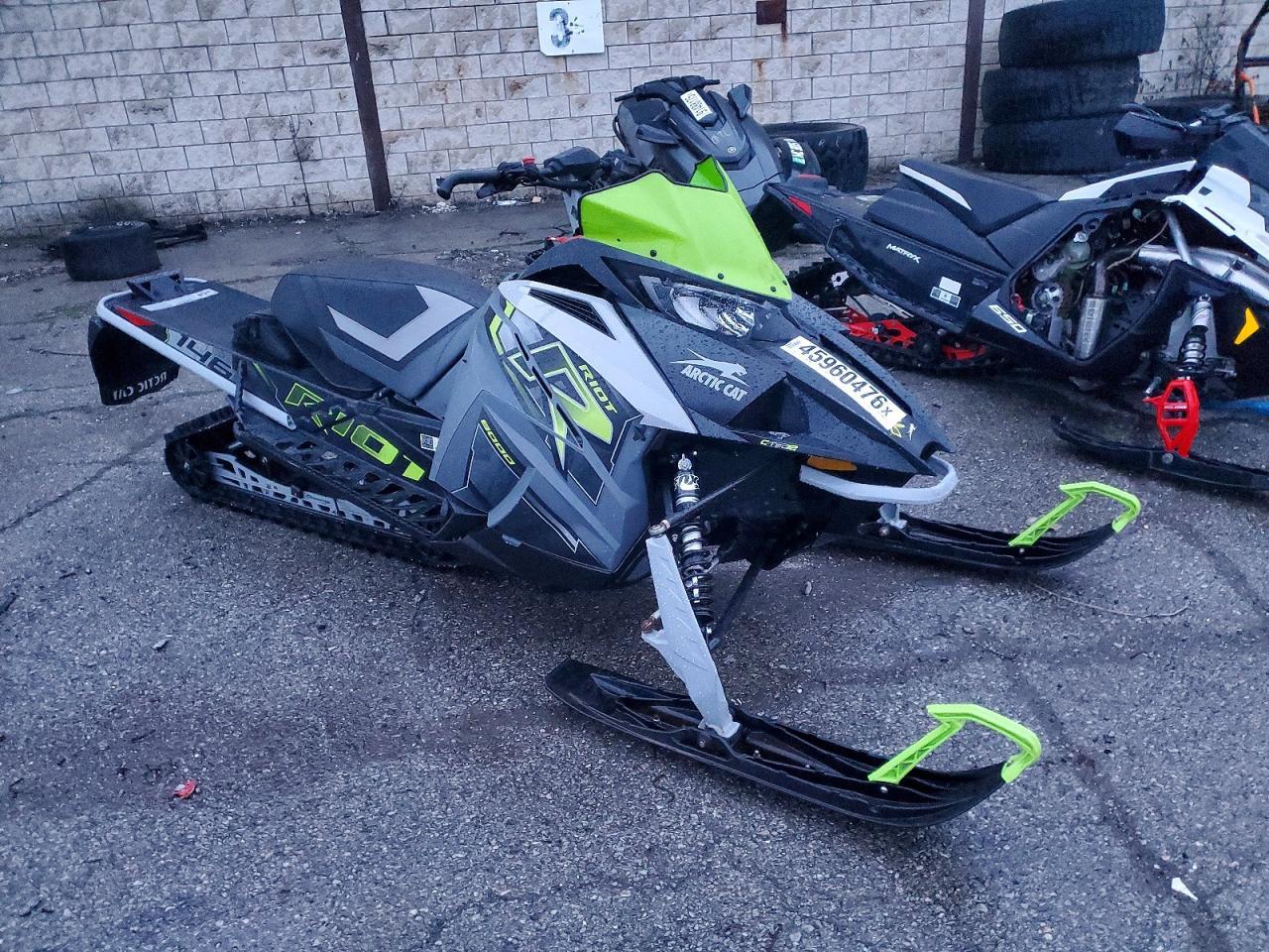 2021 Arctic Cat Cat