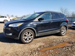 Ford salvage cars for sale: 2016 Ford Escape se