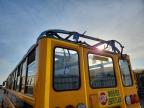 2023 Ic Bus PB105 School Bus