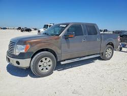 Salvage trucks for sale at Taylor, TX auction: 2012 Ford F150