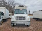 2016 Freigliner 2016 Freightliner Business Class M2 Refrigerated B